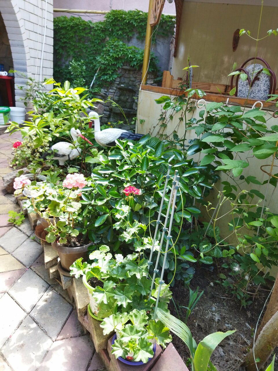 Гостиница Идиллия Судак-9