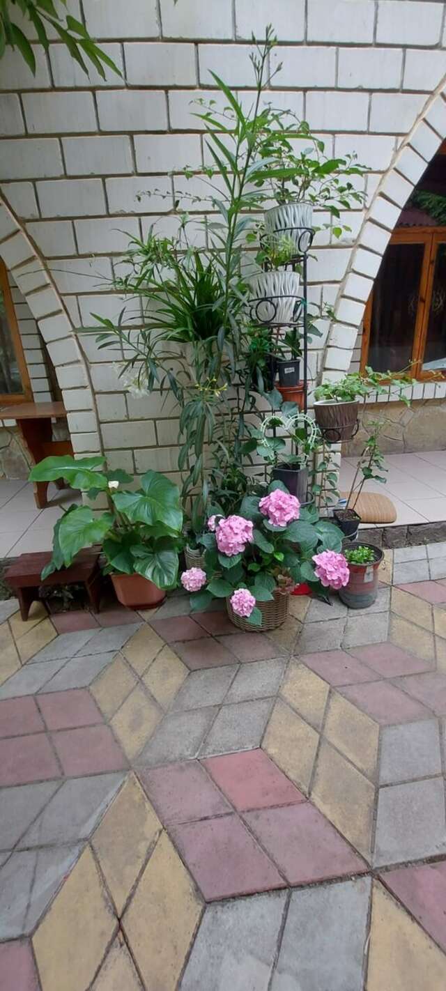 Гостиница Идиллия Судак-33